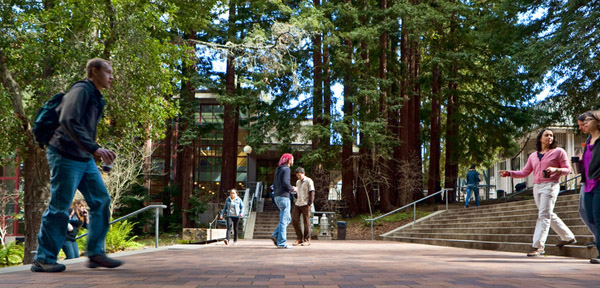 Students walk past the Science Library