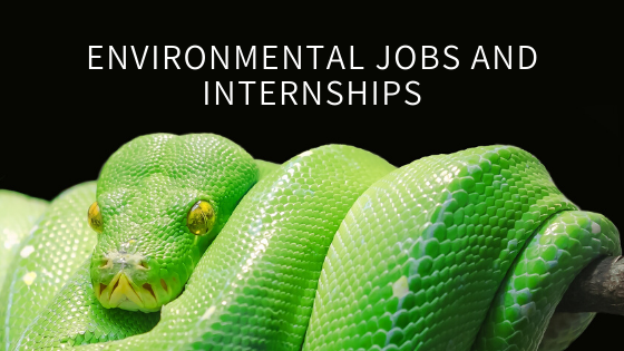 environmental jobs and internships graphic with snake picture