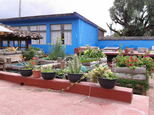 CasaDelPan_Garden.png