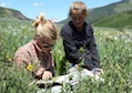 Students at Colorado field research site